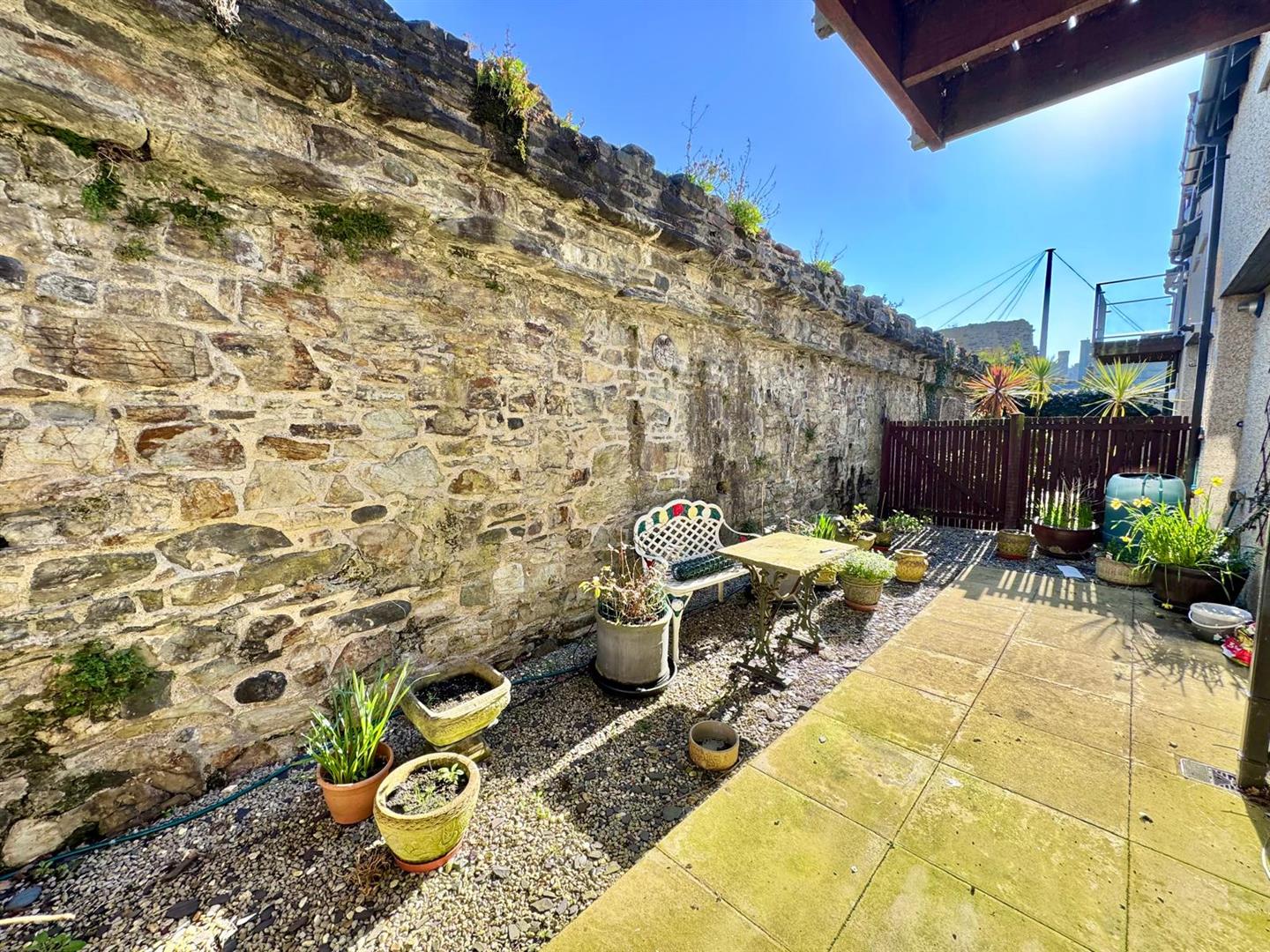 PHOTO-2026-03-19-13-24-25 (4).jpg